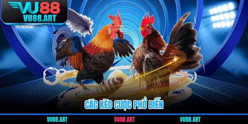 Các kèo cược phổ biến