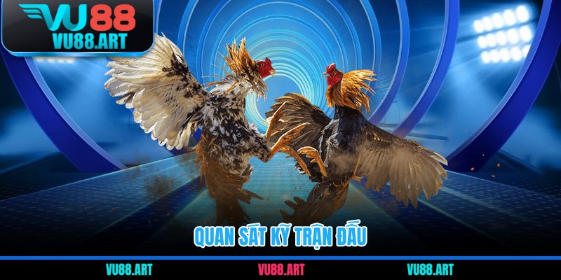 Quan sát kỹ trận đấu  