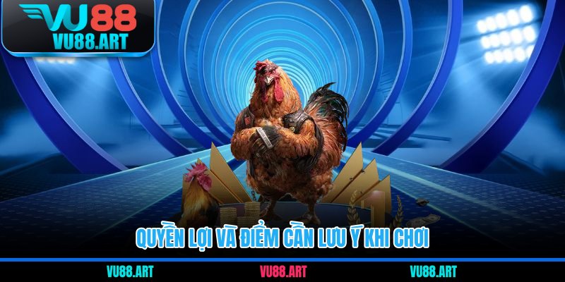 Quyền lợi và điểm cần lưu ý khi chơi 